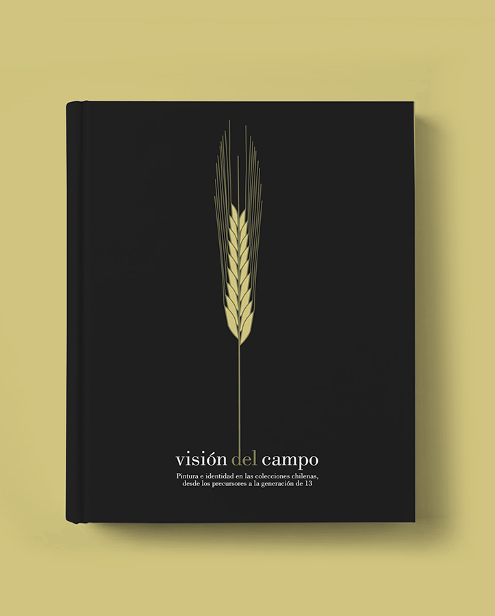 Visión de Campo
